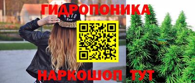 прущие грибы Обнинск